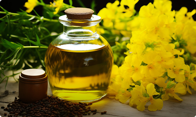 Oils, Fats & Oilseeds