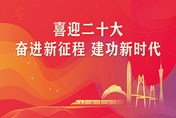 黨的二十大主題宣傳