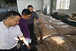 陳國棟總經(jīng)理帶隊(duì)考察糧油平臺標(biāo)桿企業(yè)